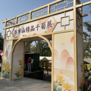 評論圖片 5