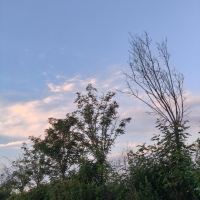 評論圖片 1