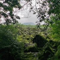 評論圖片 4