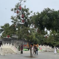 評論圖片 3