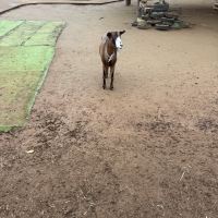 評論圖片 7