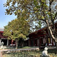 評論圖片 7