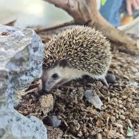 評論圖片 5