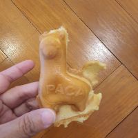 評論圖片 8