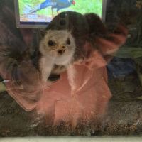 評論圖片 3
