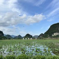 評論圖片 6