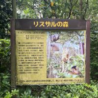 評論圖片 1