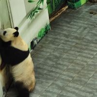 評論圖片 1