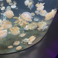 評論圖片 4