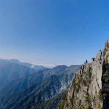 評論圖片 5