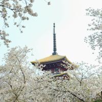 評論圖片 5