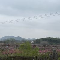 評論圖片 1