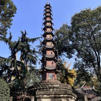 評論圖片 7
