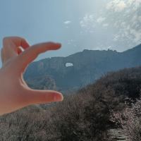 評論圖片 5