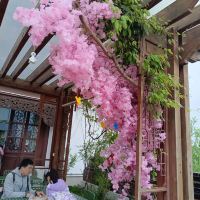 評論圖片 6