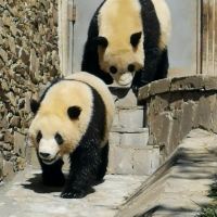 評論圖片 8
