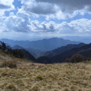 評論圖片 4