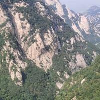 評論圖片 4
