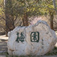 評論圖片 3