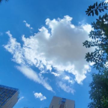 評論圖片 5