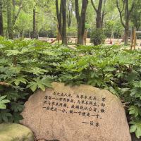 評論圖片 5