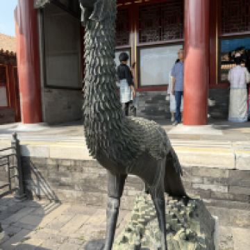 評論圖片 5