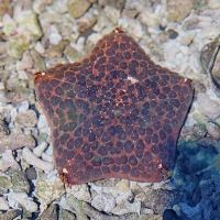 評論圖片 5