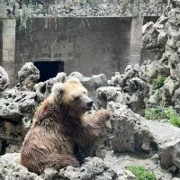 評論圖片 2