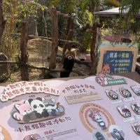 評論圖片 6