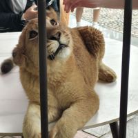 評論圖片 2