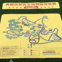 評論圖片 1