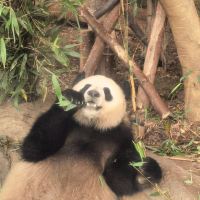 評論圖片 4
