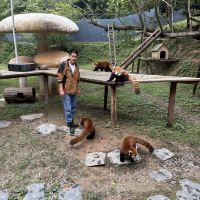 評論圖片 7