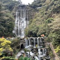 評論圖片 3