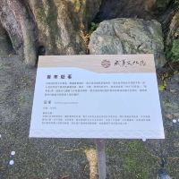 評論圖片 9