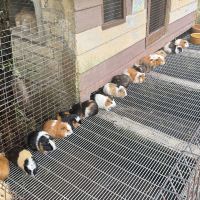 評論圖片 5