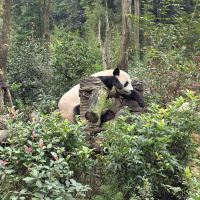 評論圖片 5