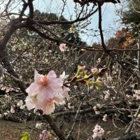 評論圖片 9