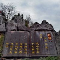評論圖片 4