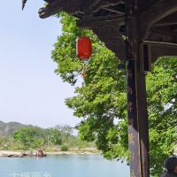 評論圖片 4