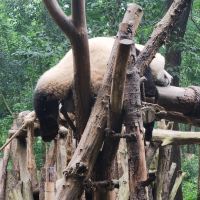 評論圖片 2