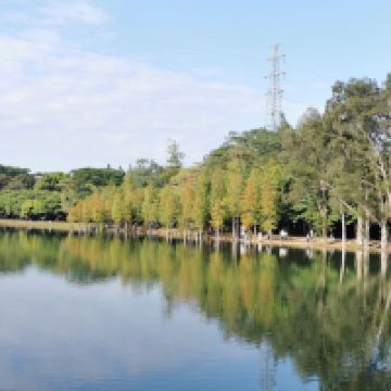 評論圖片 5