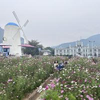 評論圖片 2