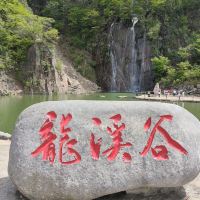 評論圖片 1