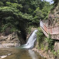 評論圖片 7