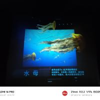 評論圖片 7
