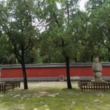 評論圖片 5