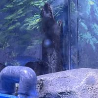 評論圖片 8