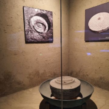 評論圖片 7