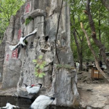 評論圖片 9